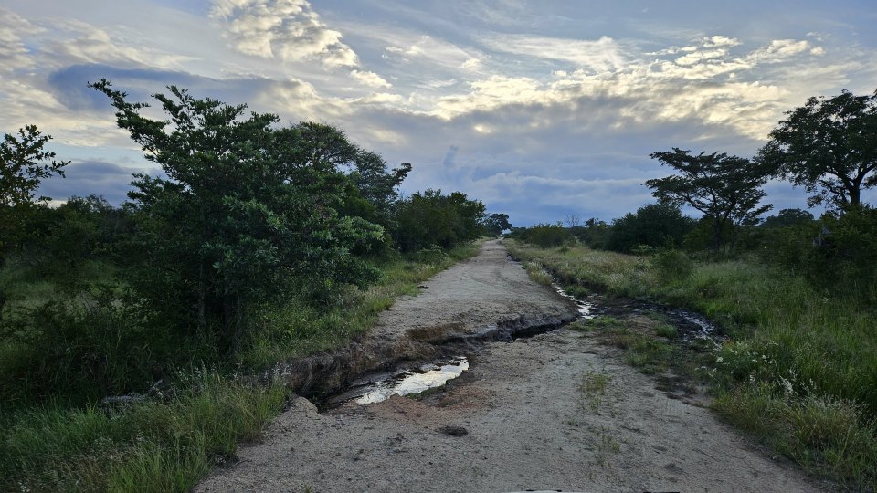 <h2>The Best of South Africa Escorted 2023</h2> 14 Nights | 6 Rounds | March 11 - 25